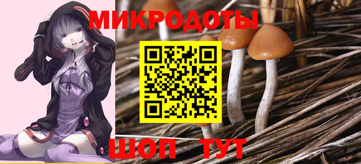 Псилоцибиновые грибы мицелий Тобольск