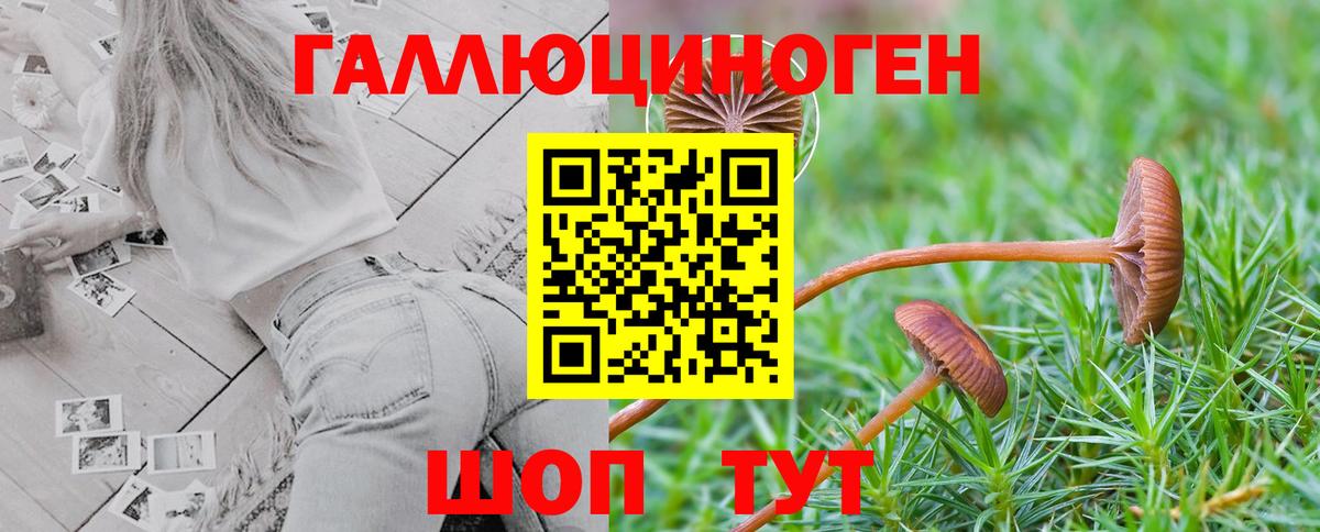 Псилоцибиновые грибы Psilocybe  купить закладку  Тобольск  Вход с VPN 
